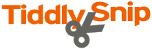 tiddyship.png