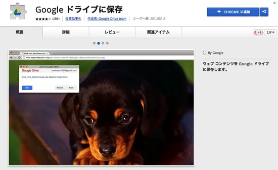 GoogleDrive WebpageSnap 02